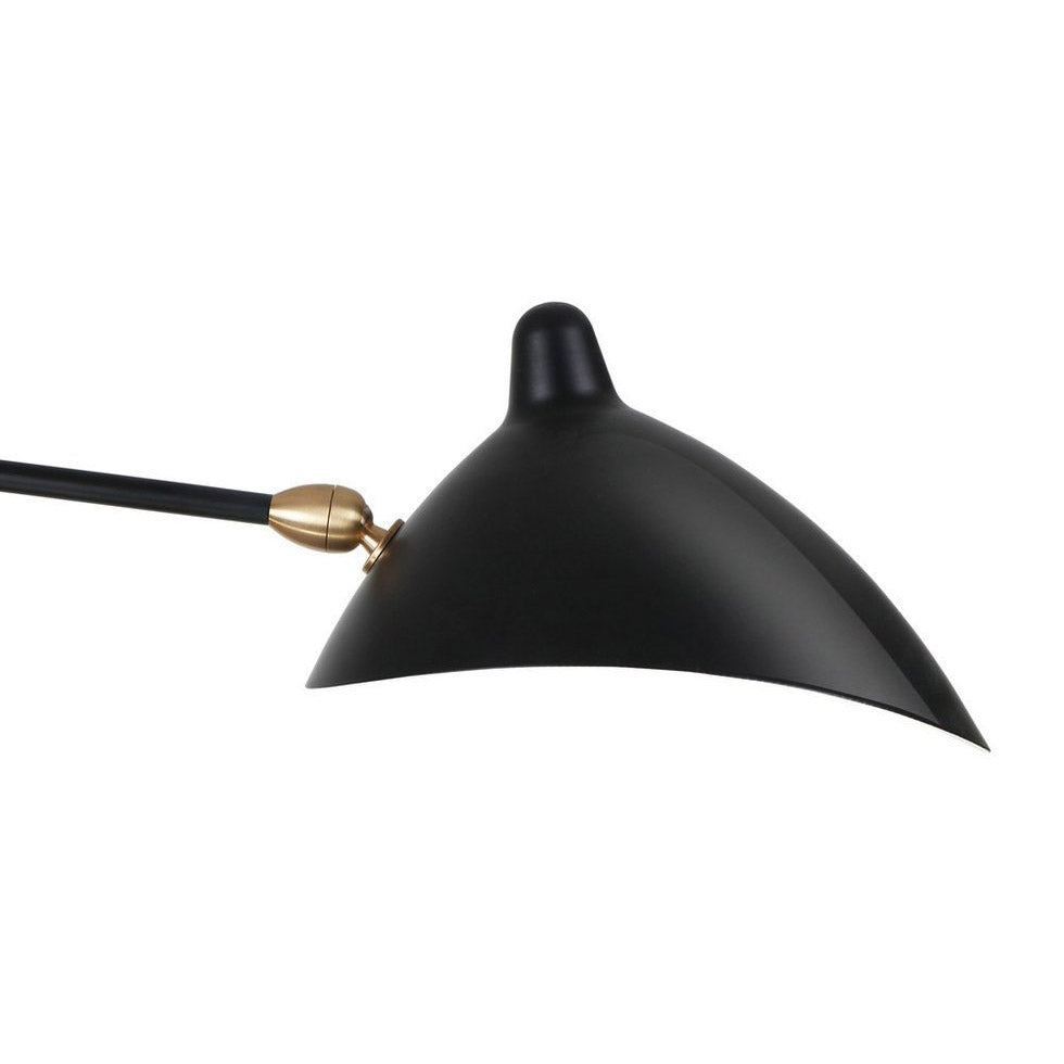 Sergio Two Arm Ceiling Light